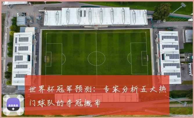 世界杯冠军预测：专家分析五大热门球队的夺冠概率