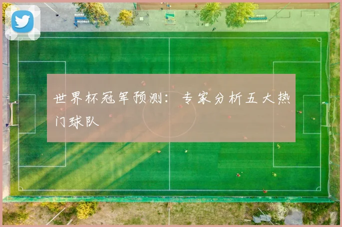 世界杯冠军预测:专家分析五大热门球队