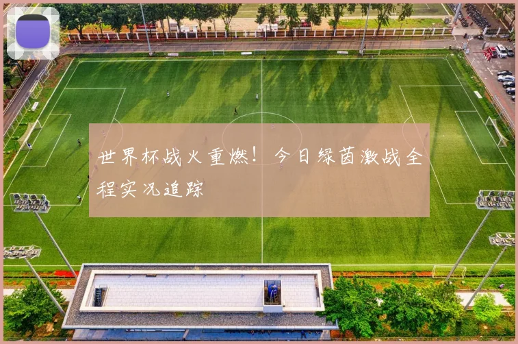 世界杯战火重燃！今日绿茵激战全程实况追踪