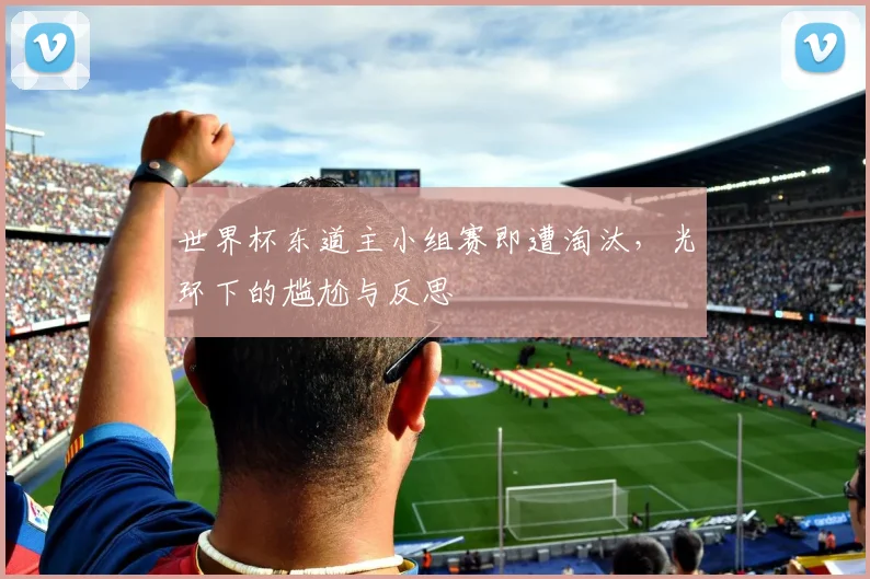 世界杯东道主小组赛即遭淘汰,光环下的尴尬与反思